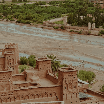 MENA: Nice Classification 13th Edition Adoption