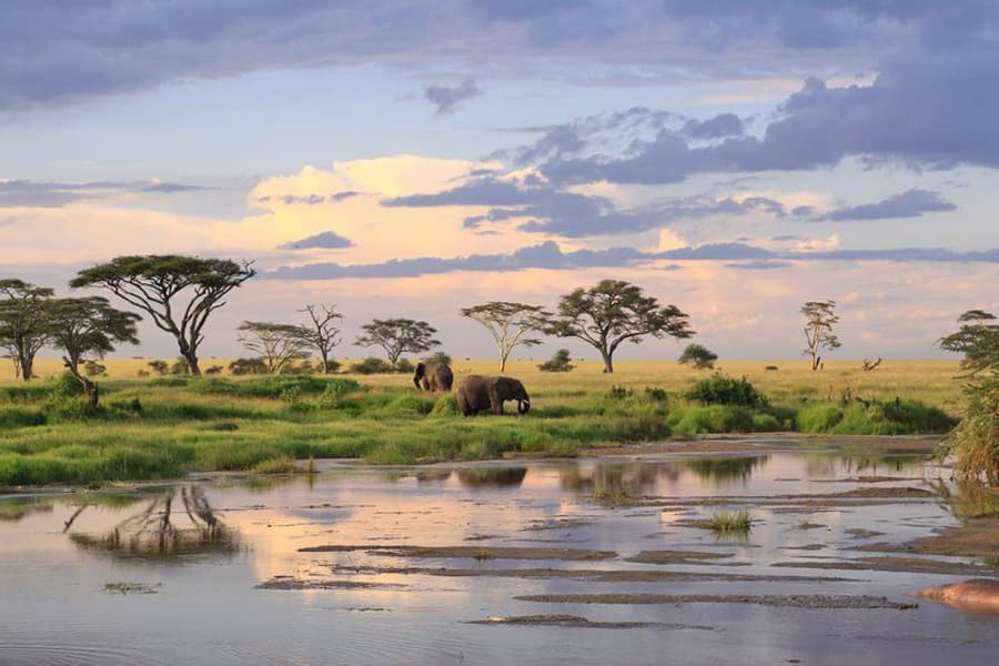 Counterfeit hotspots in Tanzania that brand owners must be aware of