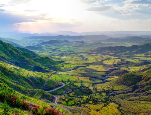 Ethiopia: Surveying the Trademark Landscape